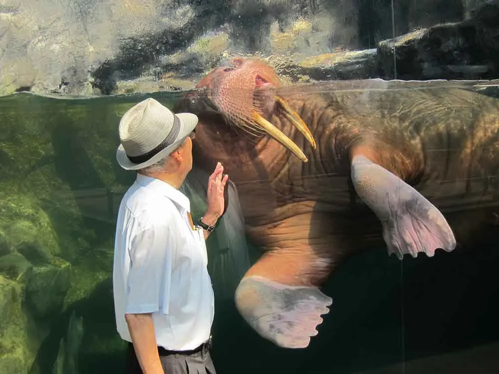 2011年7月14日 アクアマリンふくしまにて。東日本大震災で閉館していた同館の再開館に駆けつけた時の一枚です。